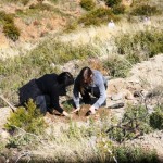 04_03_12_Patoulis_2h_Dedrofiteusi_2012_SPAP_Penteli(55)