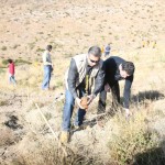 11_12_11_patoulis_anadasosi_pentelhs180_lg