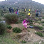 2i-anadasosi_2014_10