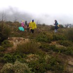 2i-anadasosi_2014_11