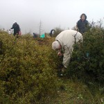 2i-anadasosi_2014_15