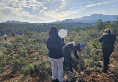 Με πολύ μεγάλη επιτυχία πραγματοποιήθηκε η 1η Δράση Εθελοντικής Μαθητικής Δενδροφύτευσης για τη νέα φυτευτική περίοδο 2026 που διοργάνωσε ο ΣΠΑΠ σε συνεργασία με το «Όλοι Μαζί Μπορούμε» και στο Περιβάλλον και τον Δήμο Διονύσου στο Πεντελικό Όρος Με πολύ μεγάλη επιτυχία πραγματοποιήθηκε η 1η Δράση Εθελοντικής Μαθητικής Δενδροφύτευσης για τη νέα φυτευτική περίοδο 2026 που διοργάνωσε ο ΣΠΑΠ σε συνεργασία με το «Όλοι Μαζί Μπορούμε» και στο Περιβάλλον και τον Δήμο Διονύσου στο Πεντελικό Όρος