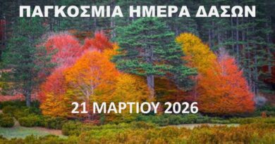ΠΑΓΚΟΣΜΙΑ ΗΜΕΡΑ ΔΑΣΩΝ ΠΑΓΚΟΣΜΙΑ ΗΜΕΡΑ ΔΑΣΩΝ